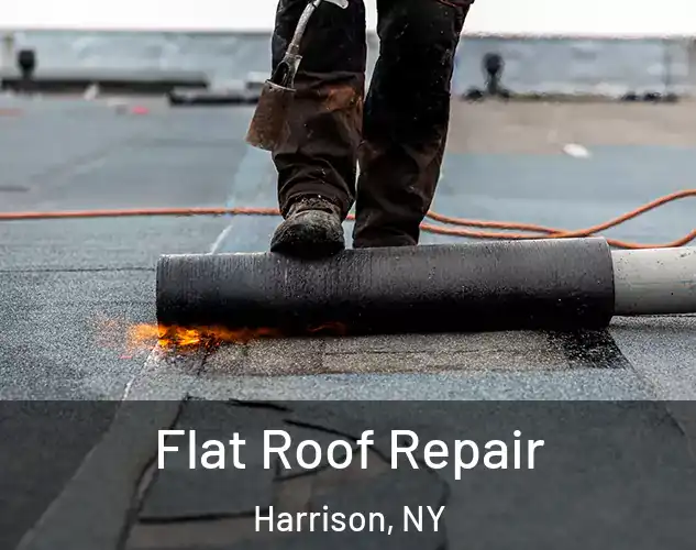  Flat Roof Repair Harrison, NY