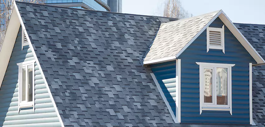 Shingle Roof Maintenance in Harrison