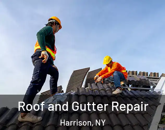  Roof and Gutter Repair Harrison, NY