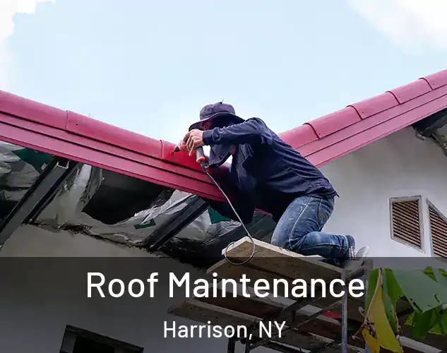  Roof Maintenance Harrison, NY
